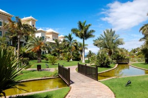 cheap hotels bookings