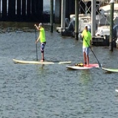 Get Fit and See the Sights On a Paddleboard in Naples, FL