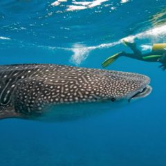 Three Exciting Things to Do on Vacation
