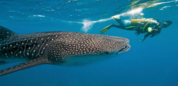 Three Exciting Things to Do on Vacation