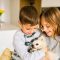 Branson Cabins Are Pet Friendly and Fun: Top Tips for Booking Lodging