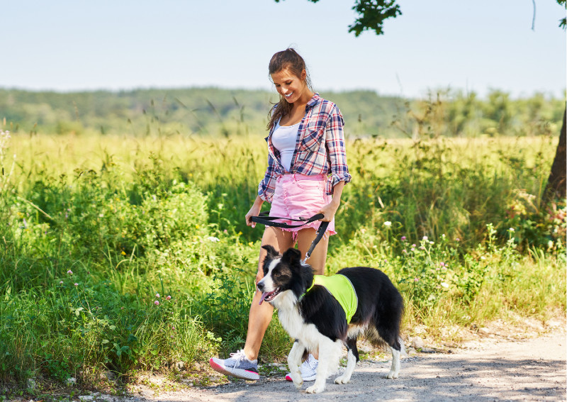 Adventure Awaits: Pet-Friendly Cabins in Branson, MO for a Fun Summer